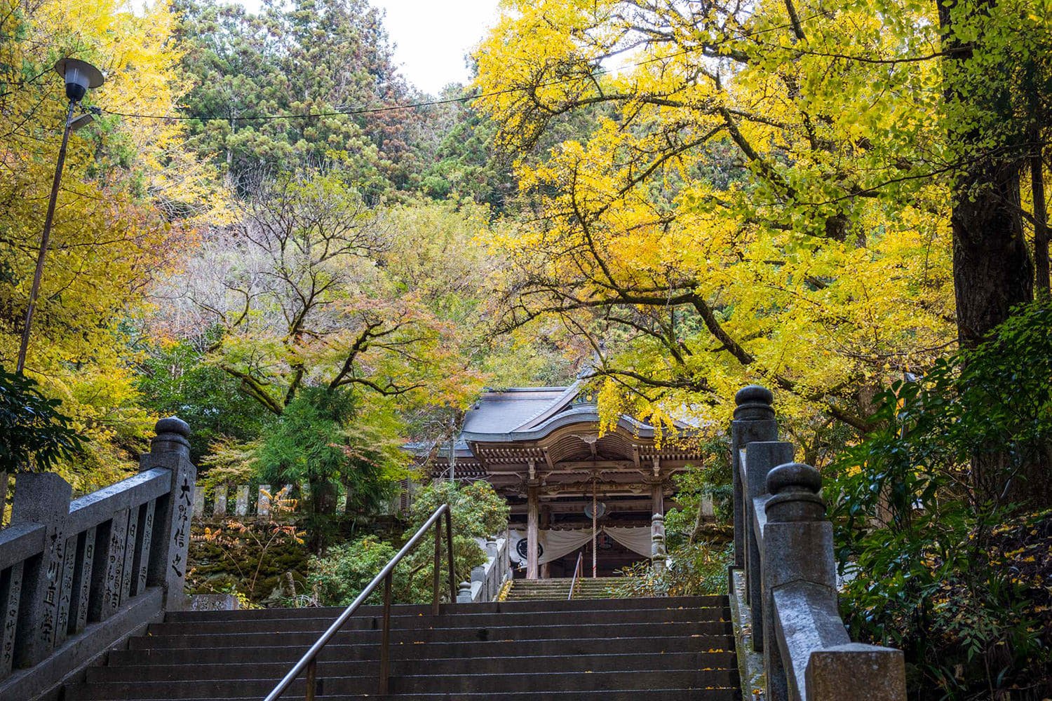 🏯 대법사 (다이호지) 이미지 1